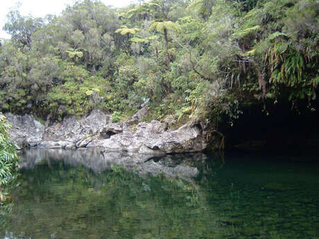 Bassin des Hirondelles Bassin des Hirondelles