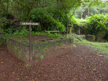Puits Arabe