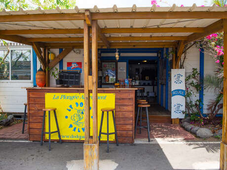 Dodo Palmé (Le)
