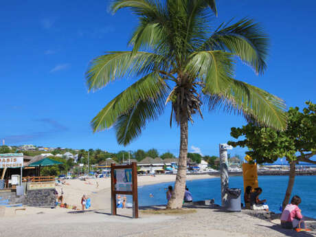 Plage des Roches Noires