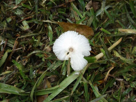 Jardin des Affouches (Le)