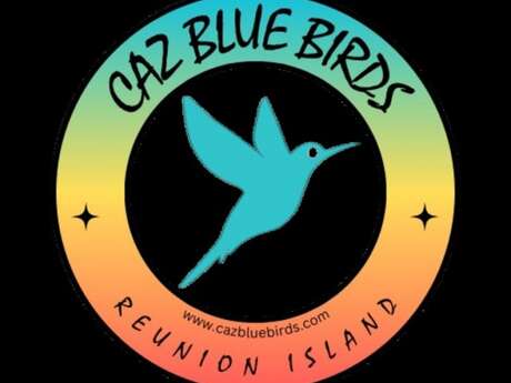 Caz Blue Birds