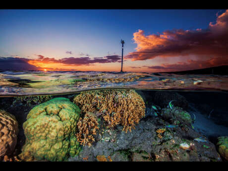Réunion Diving