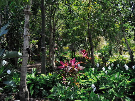 Domaine du Café Grillé