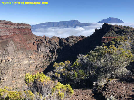 Terre Caméléon Terre Caméléon