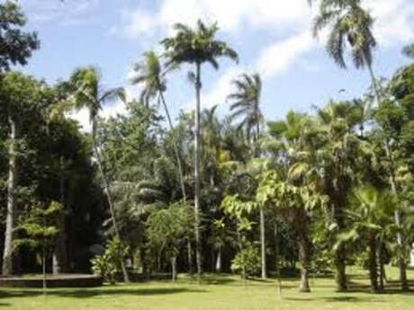 Jardin de l'Etat (Le)