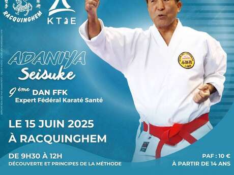 Stage expert japonais