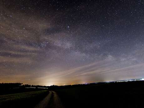 ATELIER | Étoiles et constellations (8-12 ans)