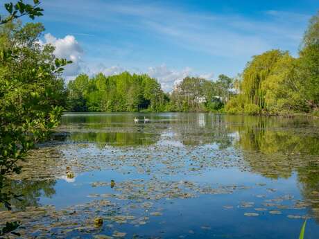 VISITE GUIDÉE | Les Étangs de la Ballastière