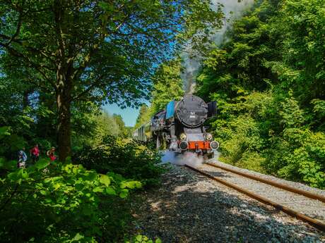 TRAIN TOURISTIQUE | VOYAGE EN TRAIN À VAPEUR