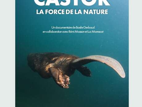 CINÉ-ÉCHANGE| Documentaire "Castor, la force de la nature"