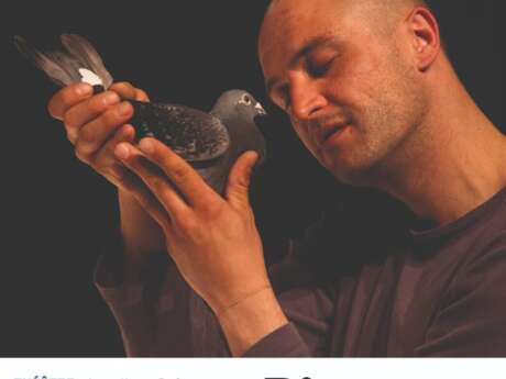 SPECTACLE | "Pigeons"par Kévin Defossez