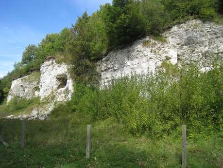 Réserve Naturelle Régionale à vocation géologique des anciennes carrières de Cléty