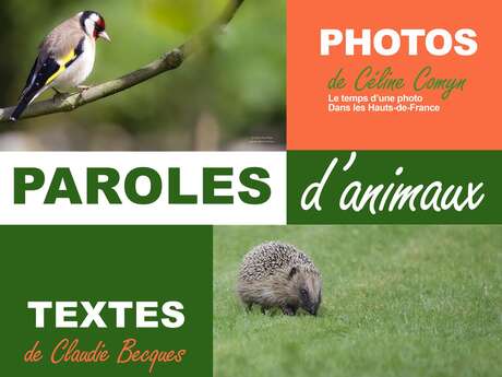 EXPO | Paroles d'animaux