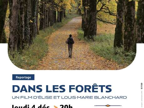 REPORTAGE | Dans les forêts