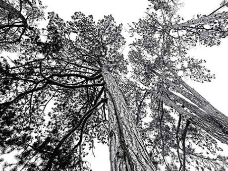 EXPO | Galerie Vandrotte d'Aire-sur-la-Lys