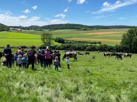 La Ferme du Mont Vert