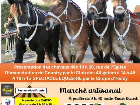 ÉVÉNEMENT | Foire aux poulains de Wittes