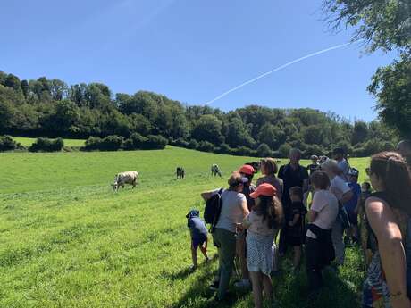 ANIMATION | PAYS DE LUMBRES : RANDO À LA FERME