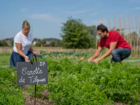 ATELIER | Les petites mains verte (6-10ans)