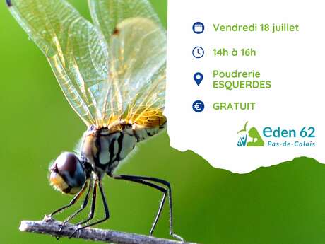 SORTIE NATURE | "Libellules et Demoiselles"
