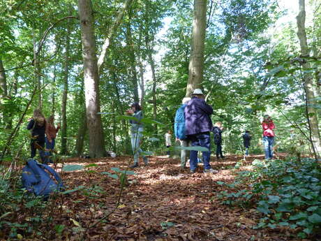 Atelier dès 15 ans | Paysage sensible