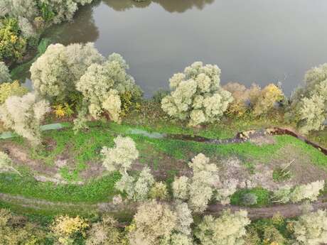 JMZH | Visite commentée d'une frayère à brochets