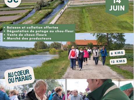 RANDO | "La Randonnée du Chou-fleur" de la Confrérie