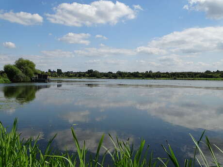 SPORT | Cross Roger Delannoy