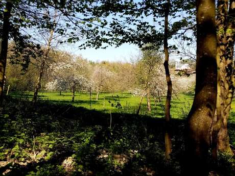 Les Vergers de l'Escapade