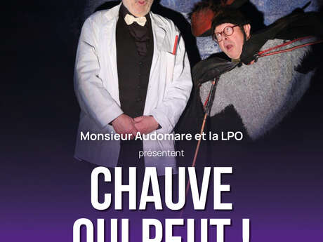 SPECTACLE | "Chauve qui peut", spectacle scientifique et loufoque
