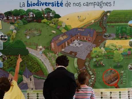 EXPO | Biodiversité vitale et fragile