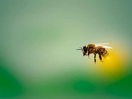 ATELIER | Samedi bien-être à Enerlya