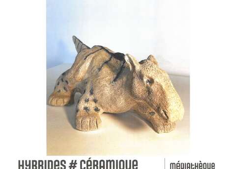 EXPO | "Hybrides # Céramique" par les élèves Ados-Adultes Céramique