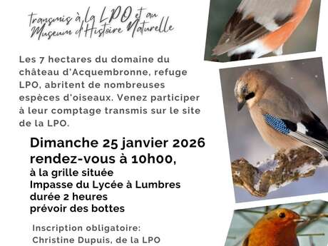ATELIER | Comptage national des oiseaux des jardins avec la LPO