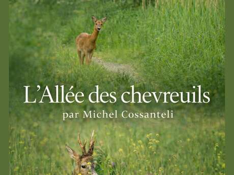 EXPO | "L'Allée des Chevreuils" par Michel Cossanteli