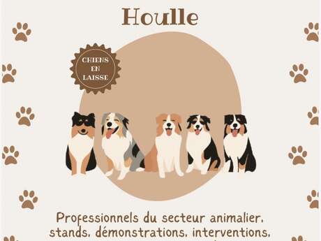 PORTES OUVERTES | Événement canin au Domaine de Texota