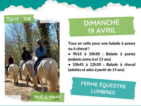 ANIMATION | Balade équestre