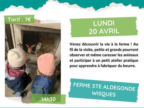 ANIMATION | Rendez-vous à la ferme