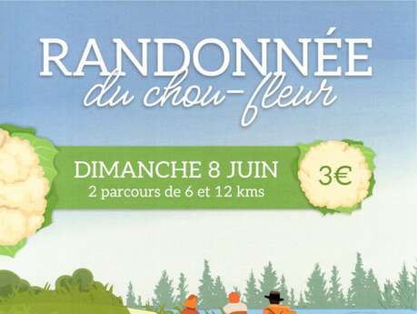 RANDO | "La Randonnée du Chou-fleur" de la Confrérie du chou-fleur de Saint-Omer