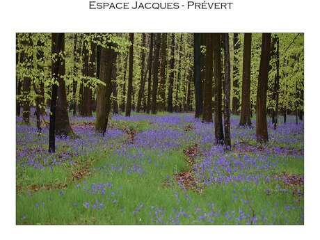 Exposition Photographies - Claude Pichard