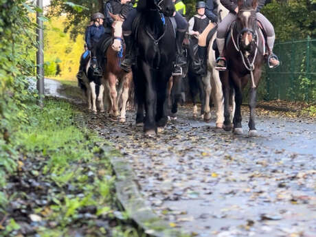 Equitation Mers Les Bains