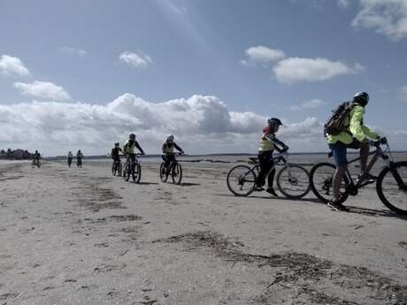 Vélo en Baie de Somme