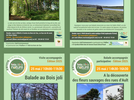 Visite accompagnée : A la découverte des fleurs sauvages des rues d'Ault - Fête de la Nature Visite accompagnée : A la découverte des fleurs sauvages des rues d'Ault - Fête de la Nature