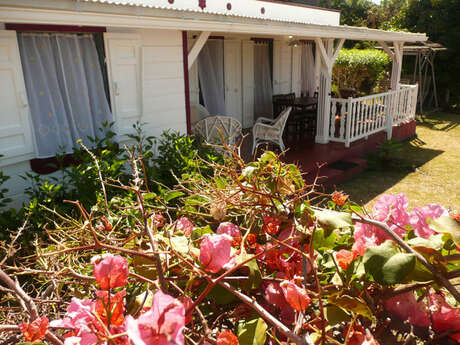 Bougainvillée (La)