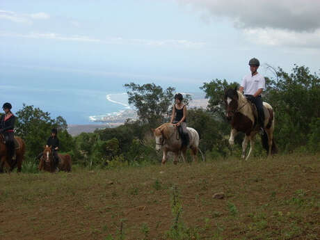 Centre Equestre du Cap