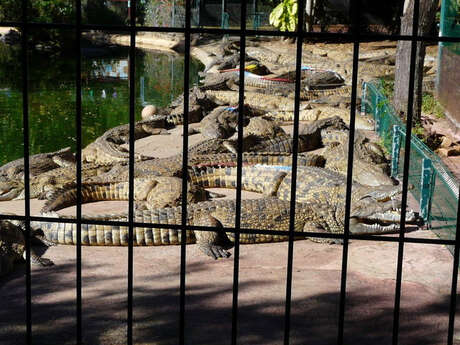 Croc Parc