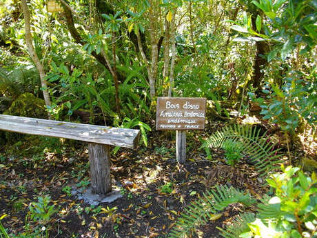 Jardin Botanique du Piton Bétoum