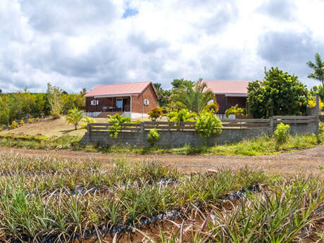 Ferme des Pitayas (La)