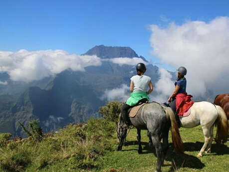 Chevaux du Maïdo (Les)